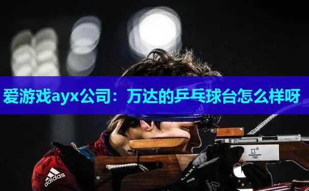 爱游戏ayx公司：万达的乒乓球台怎么样呀