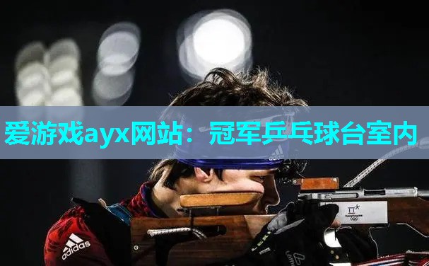 爱游戏ayx网站：冠军乒乓球台室内