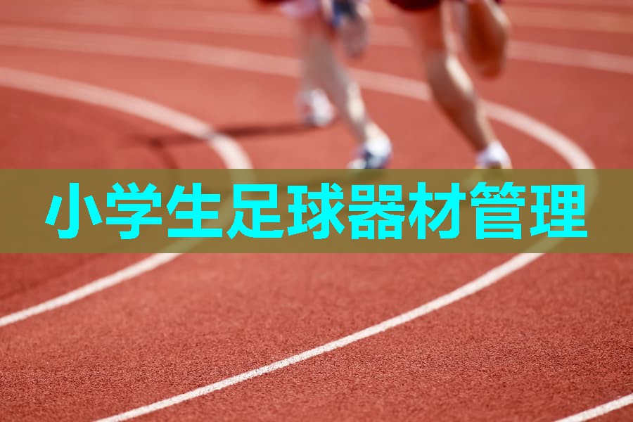 小学生足球器材管理