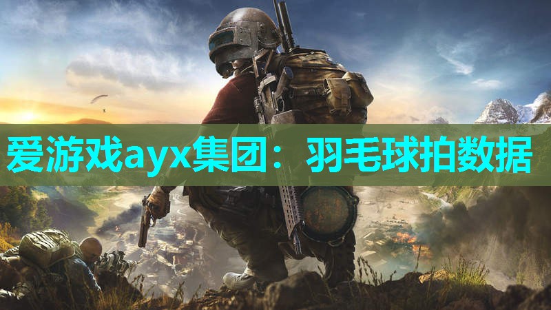 爱游戏ayx集团：羽毛球拍数据