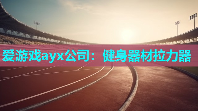 爱游戏ayx公司：健身器材拉力器